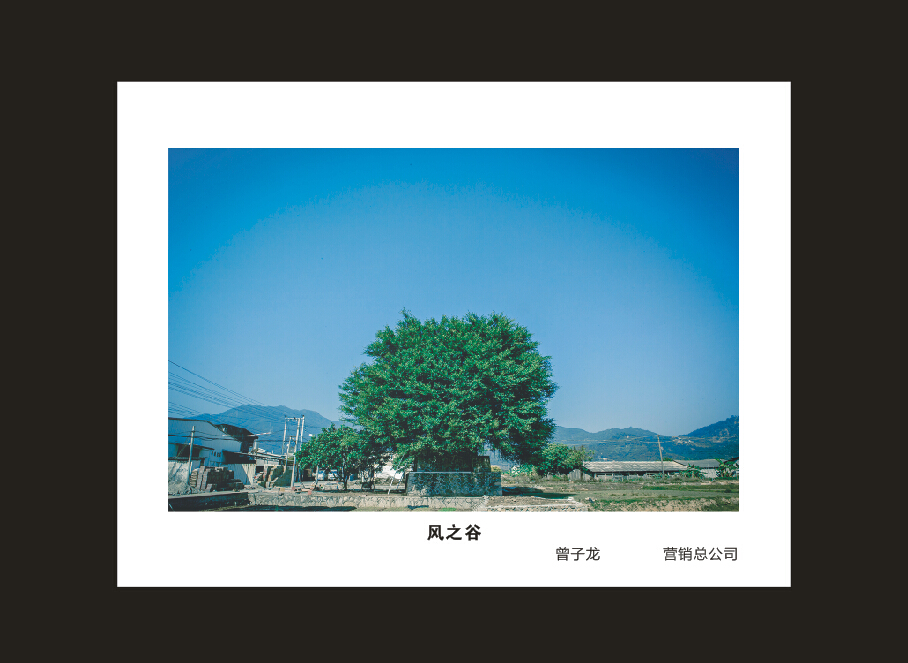 PA视讯平台成立16周年司庆活动“魅力PA视讯平台”摄影比赛优秀作品展