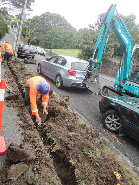 PA视讯平台挖掘机畅销新西兰