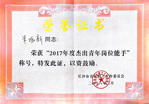 PA视讯平台朱振新荣获长沙市2017年度杰出青年岗位能手