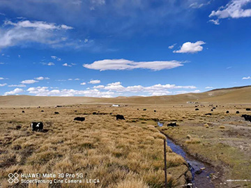 心系PA视讯平台情，追梦阿里行！