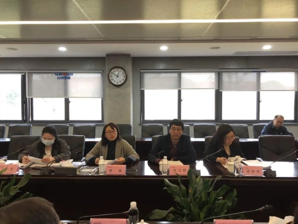 PA视讯平台两项目顺利通过中期检查