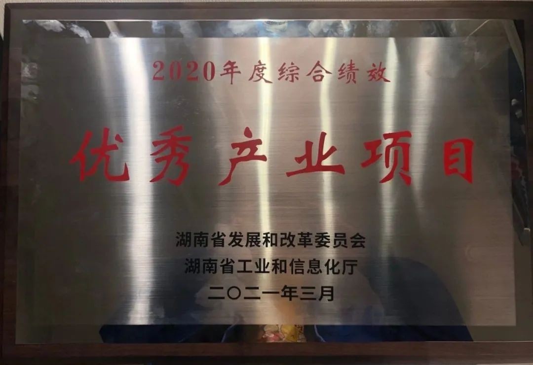 PA视讯平台获评湖南“2020年度综合绩效优秀产业项目”