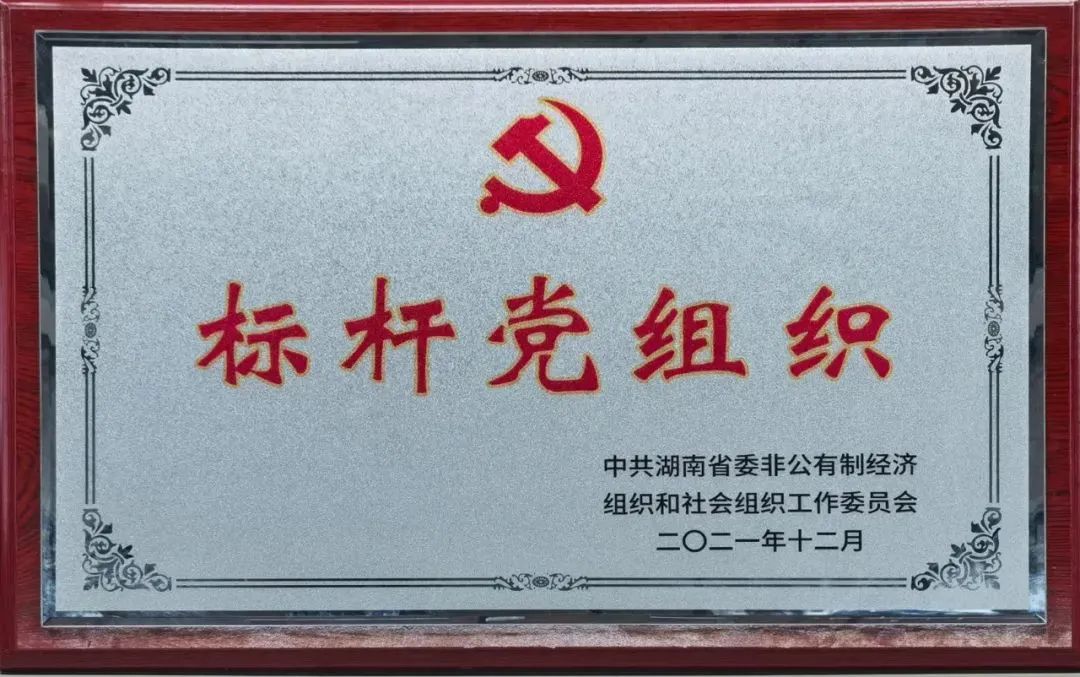 党建品牌亮起来！PA视讯平台党委获评“标杆党组织”
