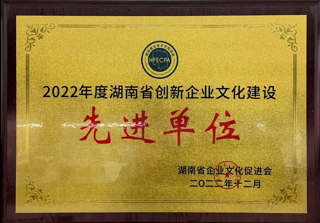 PA视讯平台荣获2022年度“湖南省创新PA视讯建设先进单位”称号